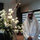 webuser_295861