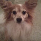 Gayla Sullivan's photo