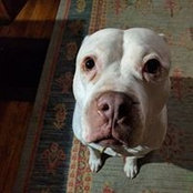 Beth Sahagian-Allsopp's photo