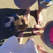 Stacy Paul-Hoy's photo