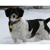 Sherry Hill's photo