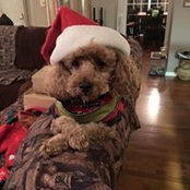 Mark Gomez's photo