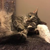 Jodi Fujimoto's photo