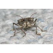 Andy Waller's photo