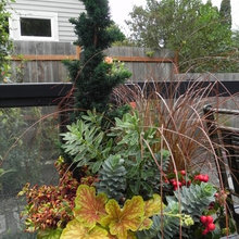 melody_thomas8270907's ideas