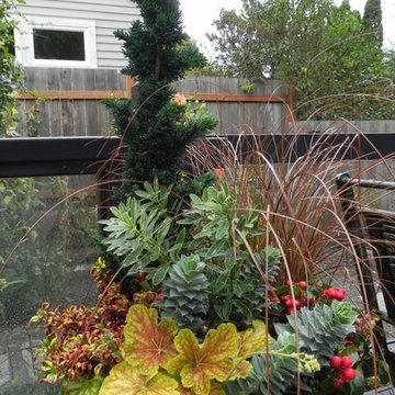 Container Gardens