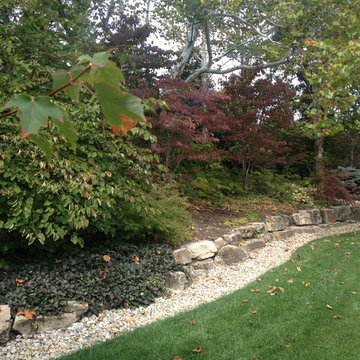 Lush Landscapes
