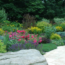 Landscaping suggestions