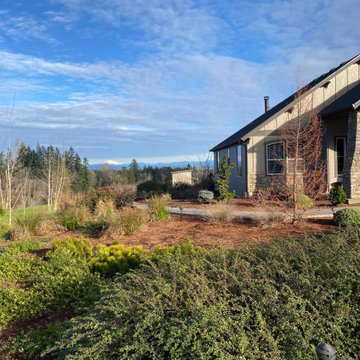 Warren Project