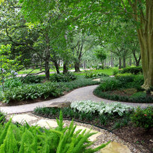 Garden ideas