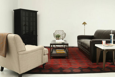 Living room - contemporary living room idea in Raleigh