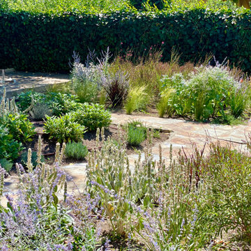 Mediterráneo naturalizado