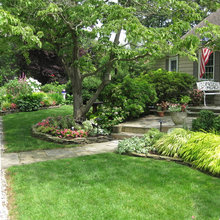 hedge/shrubs
