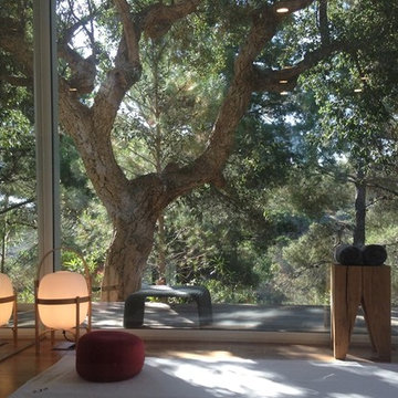 Sala yoga particular