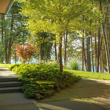 A Modernist Oasis