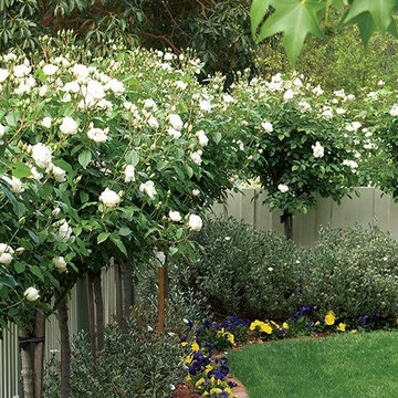 10 Garden Ideas For Winter Season That Will Amaze You