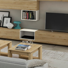 Modulares TV