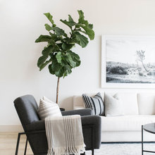 new living room