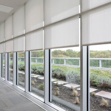 3 Silver Leaf - Remote Controlled Window Shades