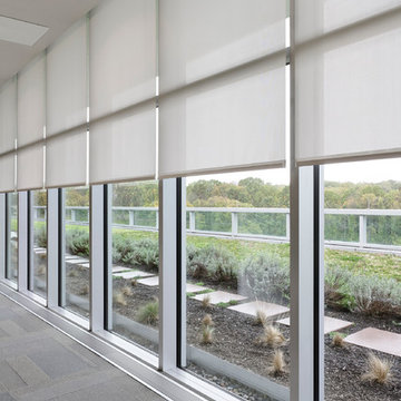 Lutron Shades