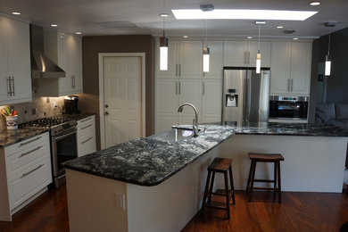 Kitchen - modern kitchen idea in Tampa