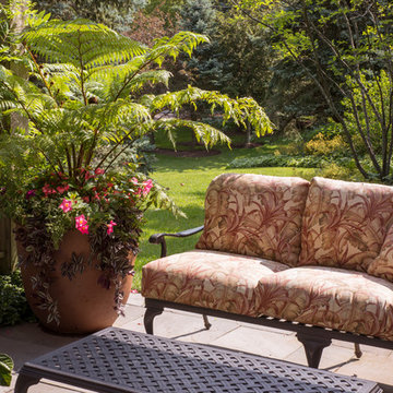 Summer Flower Containers & Annual Display
