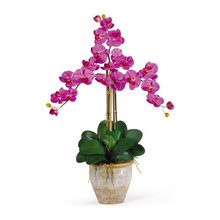 Home Decor Misc