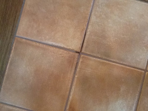 Floor Grout Turning To Powder