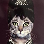 Foto de Boss Kat
