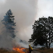 Jim Lynch's photo