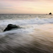 Kelly's photo