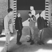 Ann Schweigart's photo