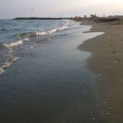 Foto von Tanja Vogrin
