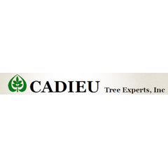 Cadieu Tree Experts