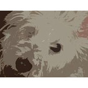 Nicole Mortimer's photo