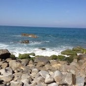 Earl Scroggin's photo