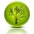 Angel wood flooring's profile photo