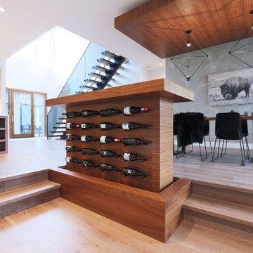 Lakestone Custom Wine Cabinet Lift