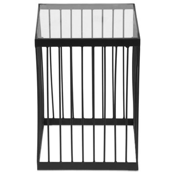 Plevna Contemporary Handcrafted Cage Side Table with Glass Top, Black and Clear