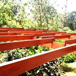 Camino del bosque II - Pergolas