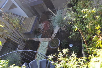 This is an example of an asian courtyard partial sun formal garden for spring in Sydney.