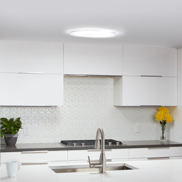 290 DS with Just Frost Decorative Fixture in Kitchen