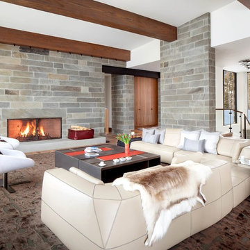 Contemporary Living Room
