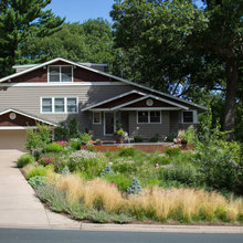Rain Garden