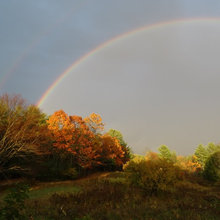 Beautiful Fall