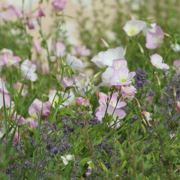 Jardin - Création et réalisation d'un jardin - Grand Perray