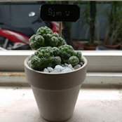 Uyen Dang's photo