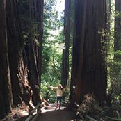 Gretchen Morse's photo