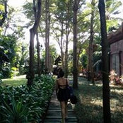 Aline Sou's photo
