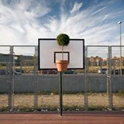 Elyes Land's photo